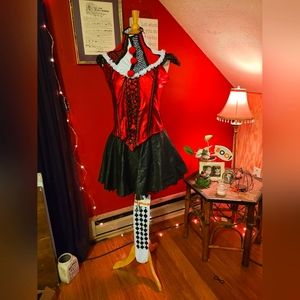 Harley Quinn Costume